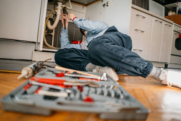 Best Local Plumber Services  in Silver Lake, KS